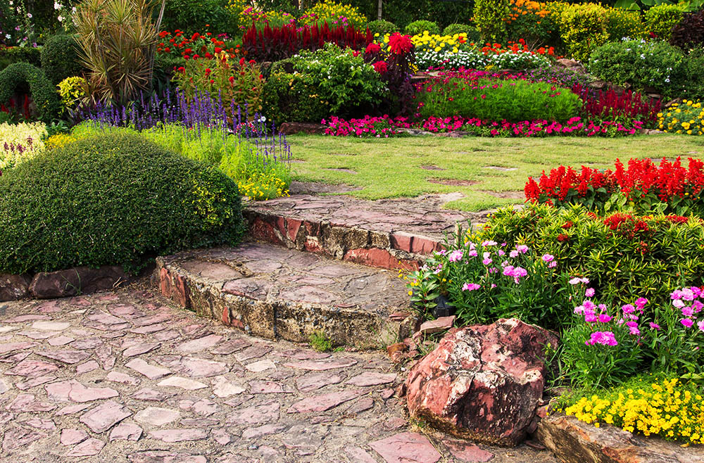 Embellece tu hogar con la magia de las plantas y flores